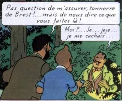 Dans "L'Affaire Tournesol", quel est le nom des assurances représentées par Séraphin Lampion ?
