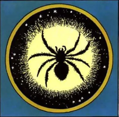 Quelle espèce d'araignée Tintin voit-il dans le téléscope, au début de "L'Étoile mystérieuse" ?