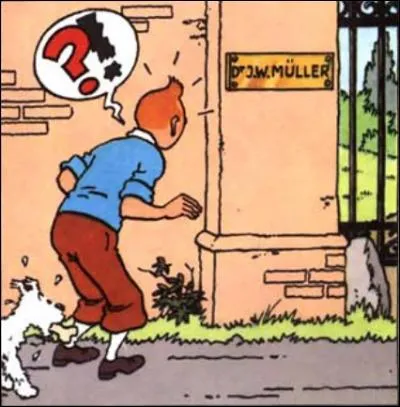 Quelle est la qualification médicale du Dr Müller dans "L'Île Noire" ?