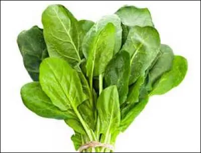 Quel est le nom de ce légume ?