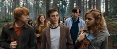 Où s'entraînent-ils ?