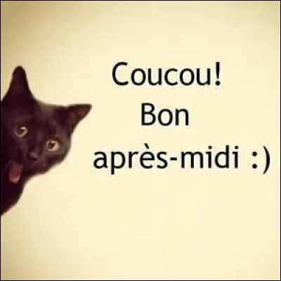 Comment diriez-vous "bon après-midi" en langage sms ?