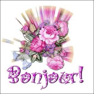 Comment diriez-vous "bonjour" en langage sms ?