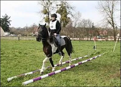 Quelle est cette discipline ?