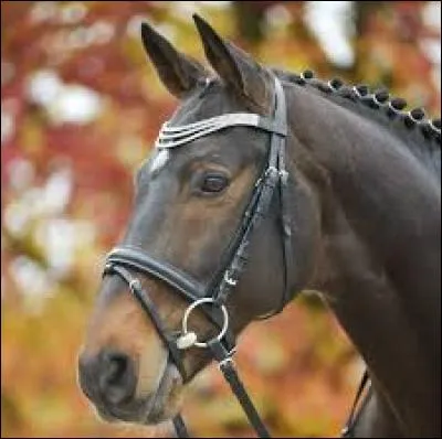 Quel est cet équipement ?