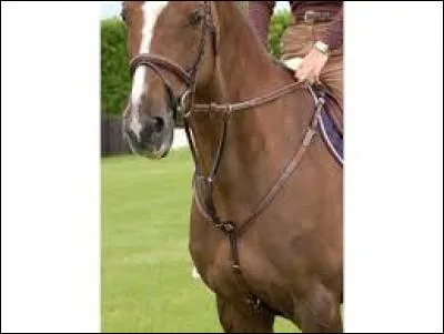 Quel est cet équipement ?