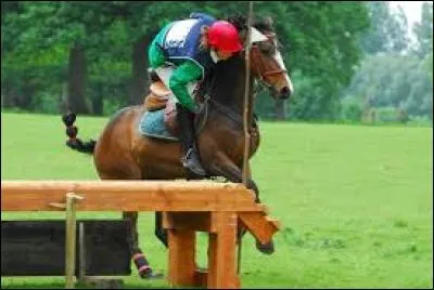 Quelle est cette attitude du cheval ?