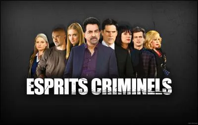 Esprits criminels a t-il eu des spin-off (s&eacute;rie d&eacute;riv&eacute;e) ?si oui combien ?