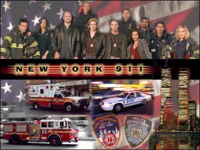 New-york 911 ou S.O.S secours (selon l'imagination de nos chaine francophone) était une fabuleuse série policière, elle fit d'ailleurs l'objet de 2 cross-overs (sorte de jonction) entre 2 séries existantes) dont le plus célèbre était avec la série ... ?