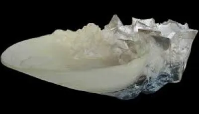 Comment Dumbledore a-t-il réussi à prendre l'Horcruxe au fond du bassin au milieu du lac ?