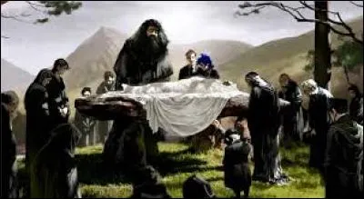 De quelle couleur la tombe de Dumbledore est-elle ?