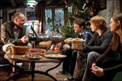 Quel membre, de la famille Weasley, est venu dire "bonjour" à sa famille à Noël ?