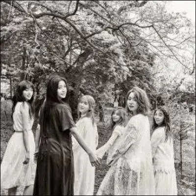 Le leader du groupe "Hello Venus" est :