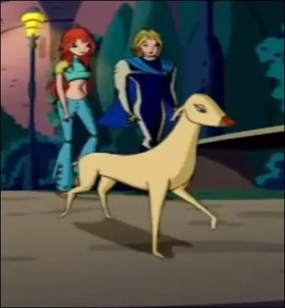 Comment s'appelle la chienne des Spécialistes ?