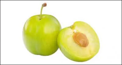 Purée d'umbu - De quel continent l'umbu est-il originaire ?