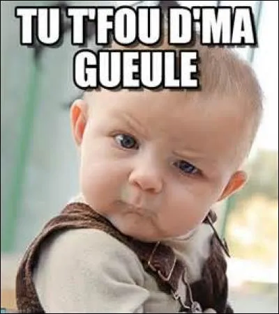 Comment diriez-vous "fou" en langage sms ?