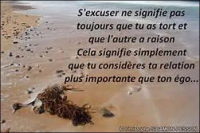 Comment diriez-vous "excuser" en langage sms ?