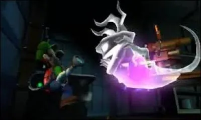 Comment appelle-t-on les fantômes qui possèdent un fragment de la lune noire ?