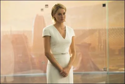 Selon toi, un leader, c'est :