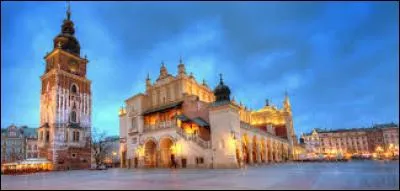 Je suis le chef-lieu de la voïvodie de Petite-Pologne.