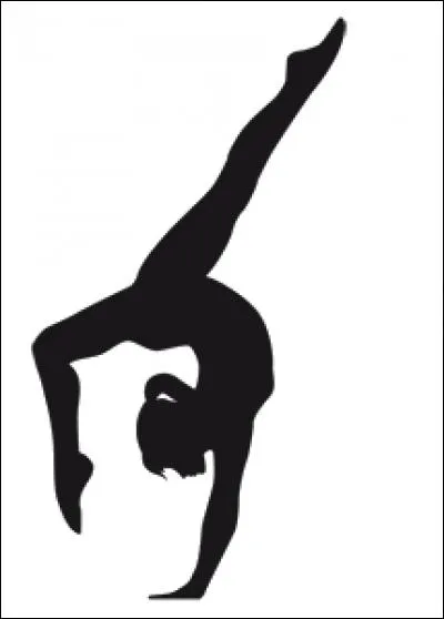 De quel sport la G.R. se rapproche-t-elle le plus ?