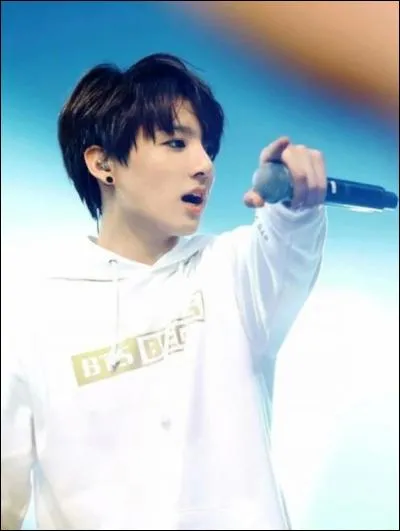 Si Jungkook n'avait pas été chanteur, il aurait aimé être :