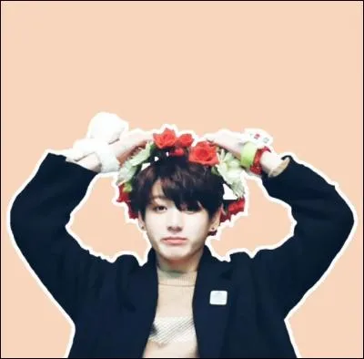 Dans "Summer Package BTS", quel membre pousse Jungkook à l'eau ?