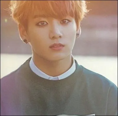 Quelle est la citation de Jungkook ?