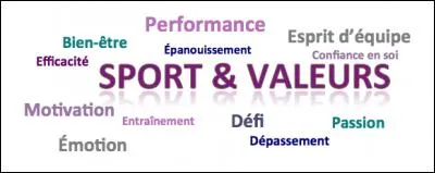 Pour toi, le sport permet-il de partager des valeurs ?