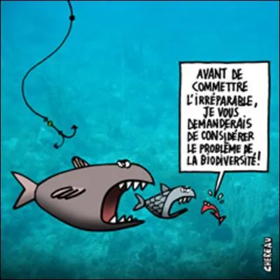 Lequel de ces trois poissons n'existe pas ?