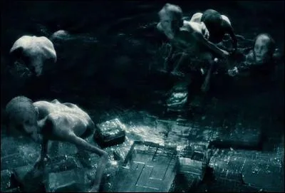 Quel sortilège est inefficace contre les Inferi ?