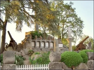 Quel est le pays d'origine des deux canons de 155 qui ornent le monument aux morts de Noirterre?