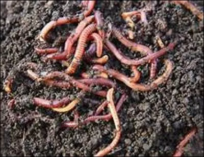 Comment diriez-vous "vers" en langage sms ?