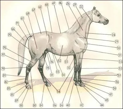 Comment s'appelle le numéro 46 ?