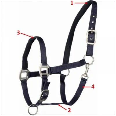 Comment s'appelle le numéro 2 du licol ?