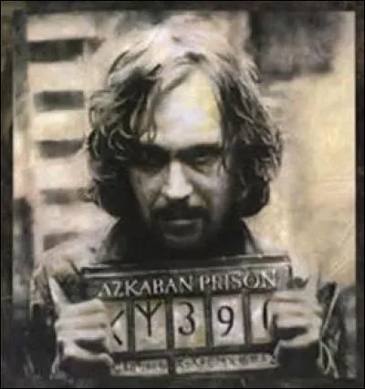 Dans le troisième film et le cinquième film, quelle personne apparaît derrière la caméra ?