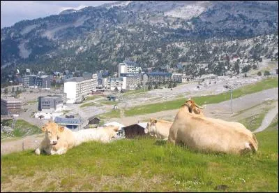 Certains pays ci-dessous comportent des hautes montagnes. Lesquels ?