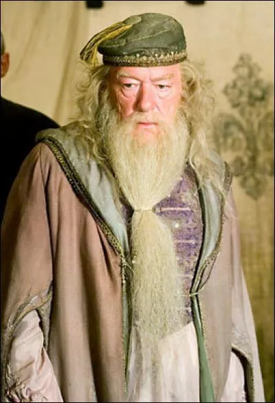Avant son poste de directeur de Poudlard , Dumbledore enseignait ...