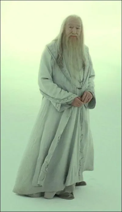 Quel âge avait Dumbledore avant sa triste mort ?