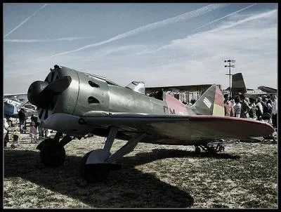 C'est l'un des premiers chasseurs monoplans : cet appareil soviétique a été livré au gouvernement de la République à partir de novembre 1936. De quel avion s'agit-il ?