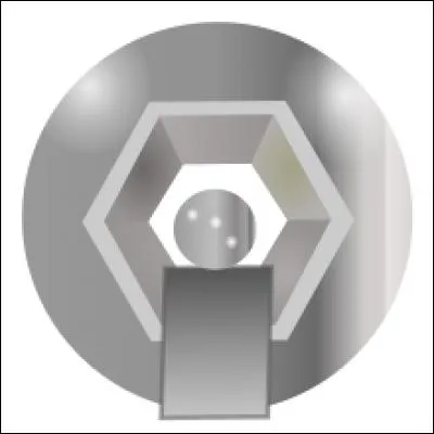 Durant la saison 2008-2009, quelle équipe gagna la Ligue 1 ?