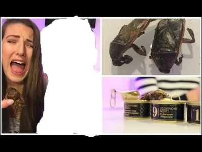 Avec qui a-t-elle fait une vidéo de dégustation d'insectes ?