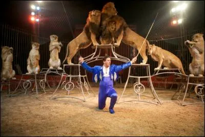 Quel cirque d'hiver se situe à Paris ?