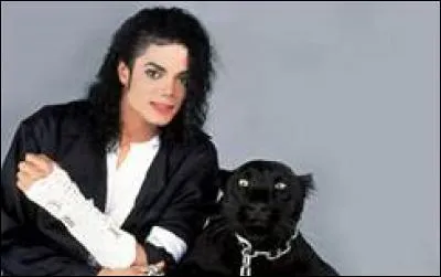 Quel est le surnom de Jackson ?