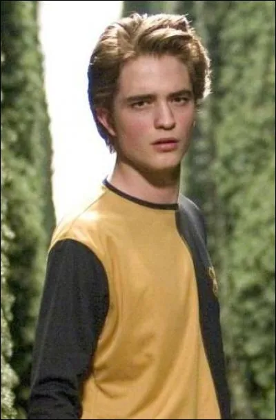 Qui a assassiné Cedric Diggory ?