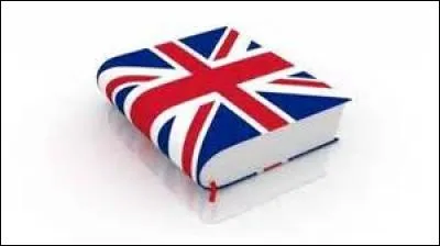 Que signifie en français "navy blue" ?