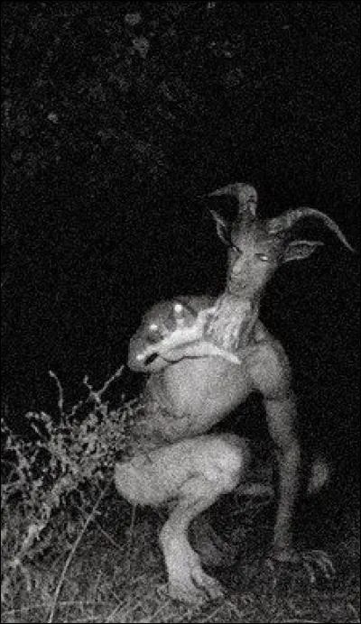 Quelle est cette créature anthropophage du folklore mythologique amérindien apportant le maléfice et la mort ?