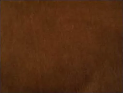 Comment dites-vous "marron" en anglais ?