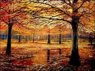 Complétez la phrase - In the fall, the leaves in the trees turn __ and __ before falling down.