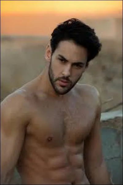 Dans "Les Marseillais et les C'htis vs le reste du monde" qui cause l'accident de Jessica ?